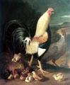 unknow artist Cock hen and chicken Spain oil painting art